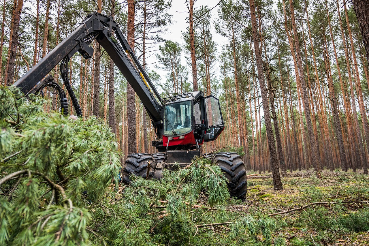 How to Encourage Your Community to Embrace Sustainability?